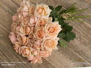 ROSE BR. PALM BEACH 50